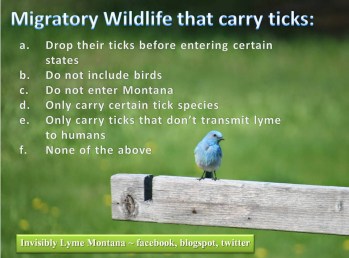 4974c-migratorysppquiz