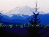 Prologue ~ Guest Series from Washington’s Recognizing Chronic Lyme Bill&nbsp;Supporters